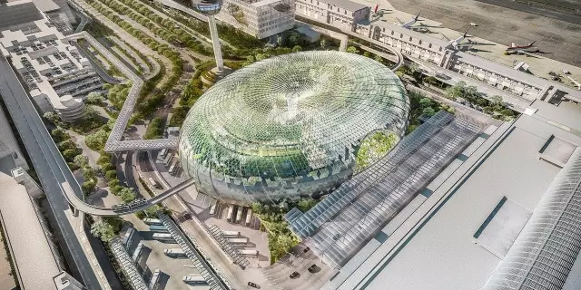 在飛機(jī)場(chǎng)里造了個(gè)森林，從此再也不怕飛機(jī)晚點(diǎn)~